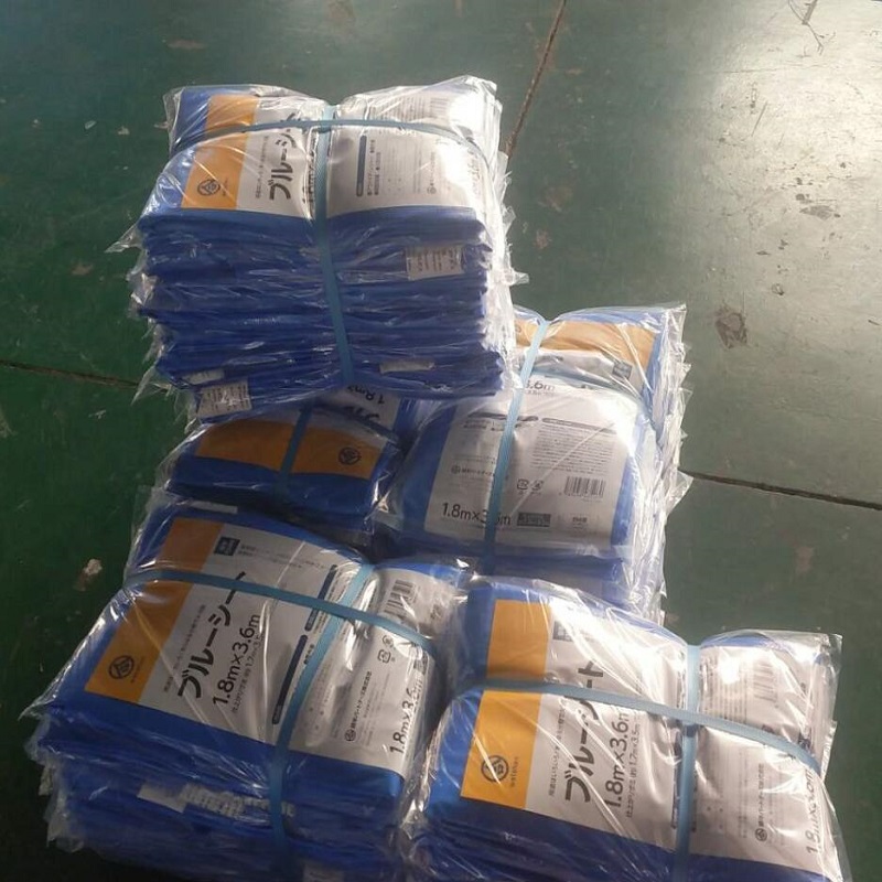 Hdpe Tarpaulin Roll Pas PE 90g plastic laken met alle specificaties op voorraad